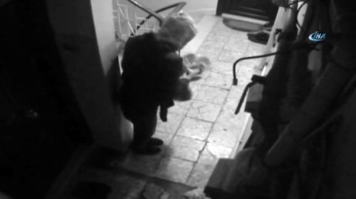 Apartmanı Soyup Soğana Çevirdi