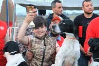 ESKIŞEHIR OSMANGAZI ÜNIVERSITESI - Av Köpekleri Yarışmasında İlk Kez Doğal Kuşlar Kullanıldı