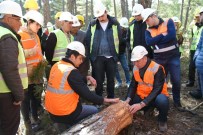 KıRKA - Eskişehir Orman Bölge Müdürlüğü Eğitimlerini Tamamladı