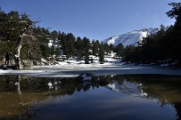 Limni Gölü'nde Sezon Hızlı Başladı