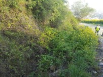 ŞEBEKE HATTI - Manisa'nın Altyapı Hatlarında Büyük Yenileme