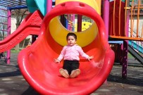 Sakaryalı Aileler Çocuk Parklarına Güvenlik Kamerası Konulmasını İstiyor