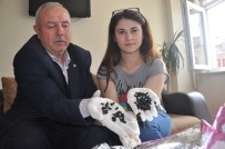 MUSTAFA KAPLAN - Böcekler Paraşütle Mi Atıldı ?