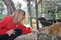 KIZ KARDEŞ - Can Dostlar İçin Yardım Çağrısı