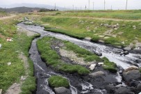 KARAÇAY - Kahramanmaraş'ta Akarsulara Kimyasal Akıyor