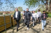 ŞAHAN GÖKBAKAR - Şahan Gökbakar Karacabey'e hayran kaldı