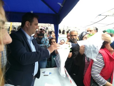 Aydın Büyükşehir Belediyesi Söke'de 50 Bin Fide Dağıttı