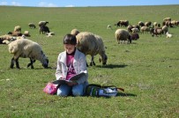 Bölge Birincisi Rabia'nın Hayali Türkiye Finallerine Kaldı
