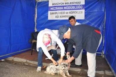 Bozüyük'te Köpeklere Ücretsiz Kuduz Aşısı Kampanyası