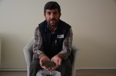 Çok fazla bilinmeyen şifa deposu bitki Çok fazla bilinmeyen şifa deposu bitki