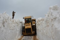Doğu Değil Karadeniz