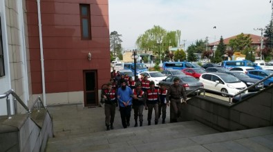 Düzce'de DEAŞ Operasyonu