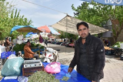 Kahta'da Seyyar Semt Pazarı Uygulaması Başladı