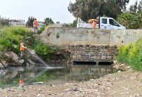 BURHANETTIN KOCAMAZ - Mersin'de Haşere İle Mücadele Çalışmaları Sürüyor