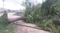 KARıNCALı - Şanlıurfa'da Sağanak Yağış Ve Şiddetli Rüzgar