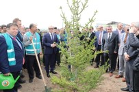 ORHAN ÇIFTÇI - Şehit Cumhuriyet Savcısı Mehmet Selim Kiraz'ın Anısına 2 Bin Fidan Dikildi
