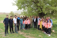 BELDE BELEDİYESİ - Silopi'de Şehitliğe Fidan Dikildi