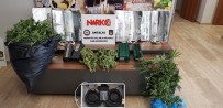 HINT KENEVIRI - Antalya'da Esrar Maddesi Ve Hint Keneviri Ele Geçirildi
