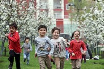 NOSTALJI - Bağcılar'da Bahar Nostalji Bahçeleri'nde Yaşanıyor