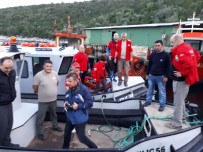 FOK BALIĞI - Bodrum'da Albino Seferberliği