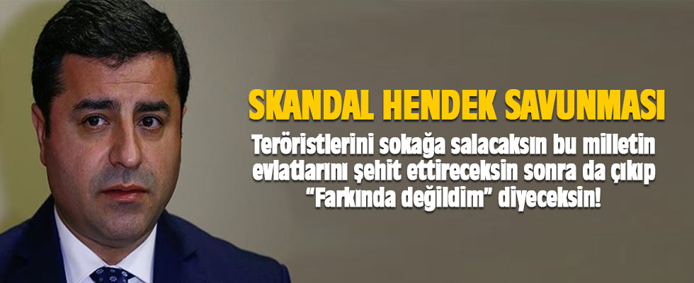 Selahattin Demirtaş'tan skandal 
