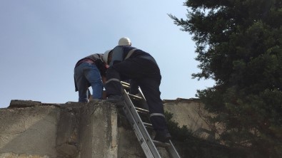 Elektrik Trafosuna Giren Hırsız, Yanarak Can Verdi