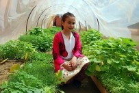 NEVZAT DOĞAN - İlkokulda Yerli Tohum Ve Fide Şenliği