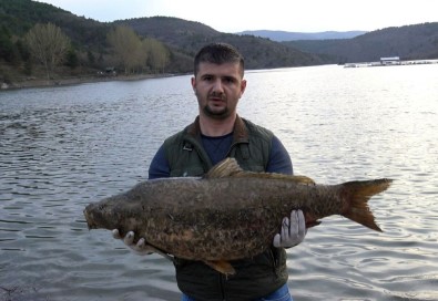 Kastamonu'da Barajdaki Toplu Balık Ölümleri Korkuttu