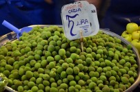 ALI AYDıN - Kayısı çağlası tezgaha indi