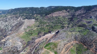 Muğla Zeytinköy Orman Yangınının İzleri Siliniyor