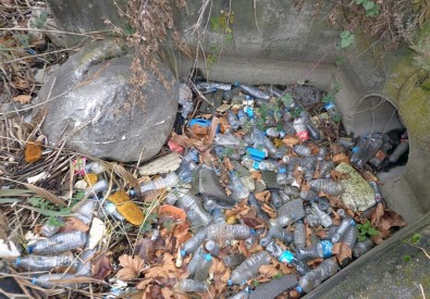 Sapanca Gölü'nden 300 Torba Çöp Çıktı