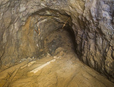 Altın madeninde heyelan: 40 ölü