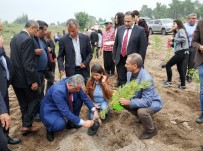 KARGıPıNARı - Erdemli'de Şehitler Anısına Fidan Dikildi