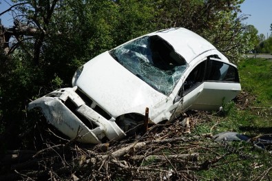 Karşı Şeride Taklalar Atarak Geçen Otomobili Ağaçlar Durdurdu