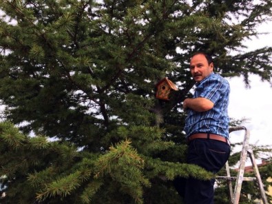 'Kuşlar Üşümesin' Diye Ağaçlara Yuva Koydular