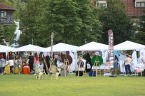 ÇÖREK OTU - Sapanca Belediyesi Festivallere Hazırlanıyor