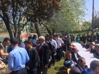 TURGAY DEMIR - Tarım Fuarında Alabalık İkramı