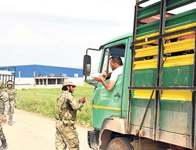 Afrin bir ayda ayağa kalktı!