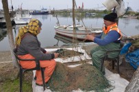 HASAN GÜNAYDIN - Balıkçılar Bu Sezon Hamside Umduğunu Bulamadı