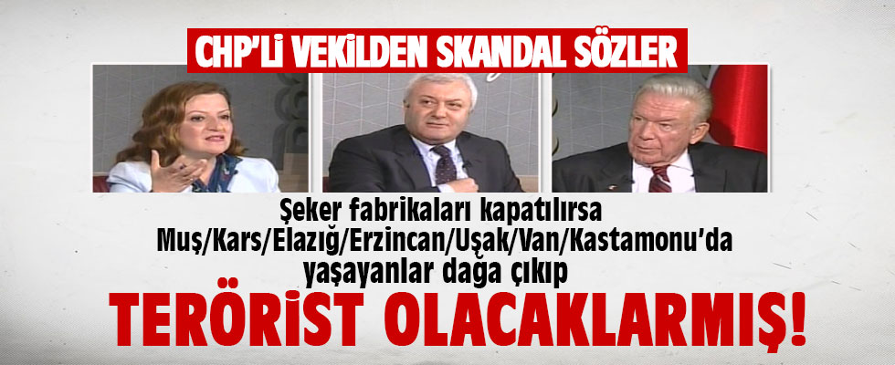 CHP'li Melike Basmacı'dan skandal sözler: Dağa çıkıp terörist olacaklar...