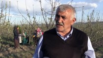 HÜSEYIN ÜNAL - Köylüler Sınırları Kaldırıp 'Güç Birliği' Yaptı