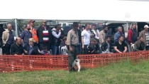 RıDVAN SEZER - '10. Fermalı Av Köpekleri Mera Yarışması'