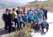 TROPİKAL MEYVE - Alanya'dan Adana'ya 11 Yıllık Zeytin Hikayesi