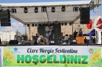 Cizre'de Nergis Festivali