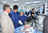 KADAVRA - İthal Kadavrada Ameliyat Yapıyorlar