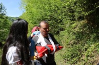 HARMANKAYA - Şelale Gezintisi Kazayla Bitti