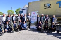 ZEYTİN YAĞI - Artan Karbon Emisyonu Ağaçlandırmayla Azaltılacak