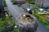 KIRLANGIÇ - Leylekli Köy Havadan Görüntülendi