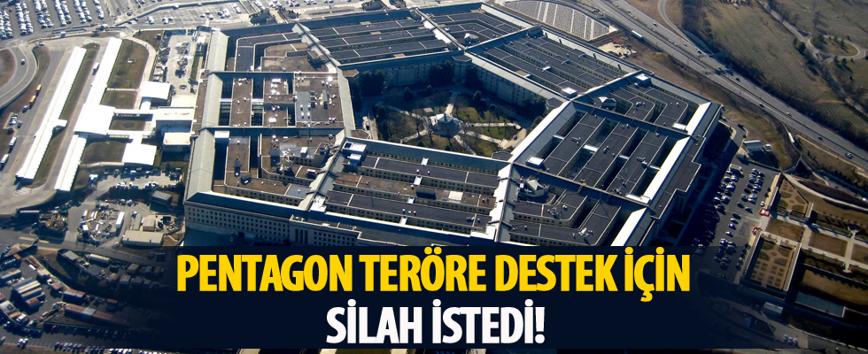 Pentagon'dan teröre destek için silah talebi