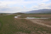 KıLıÇKAYA - Sular Çekilince Ovaya Dönüştü
